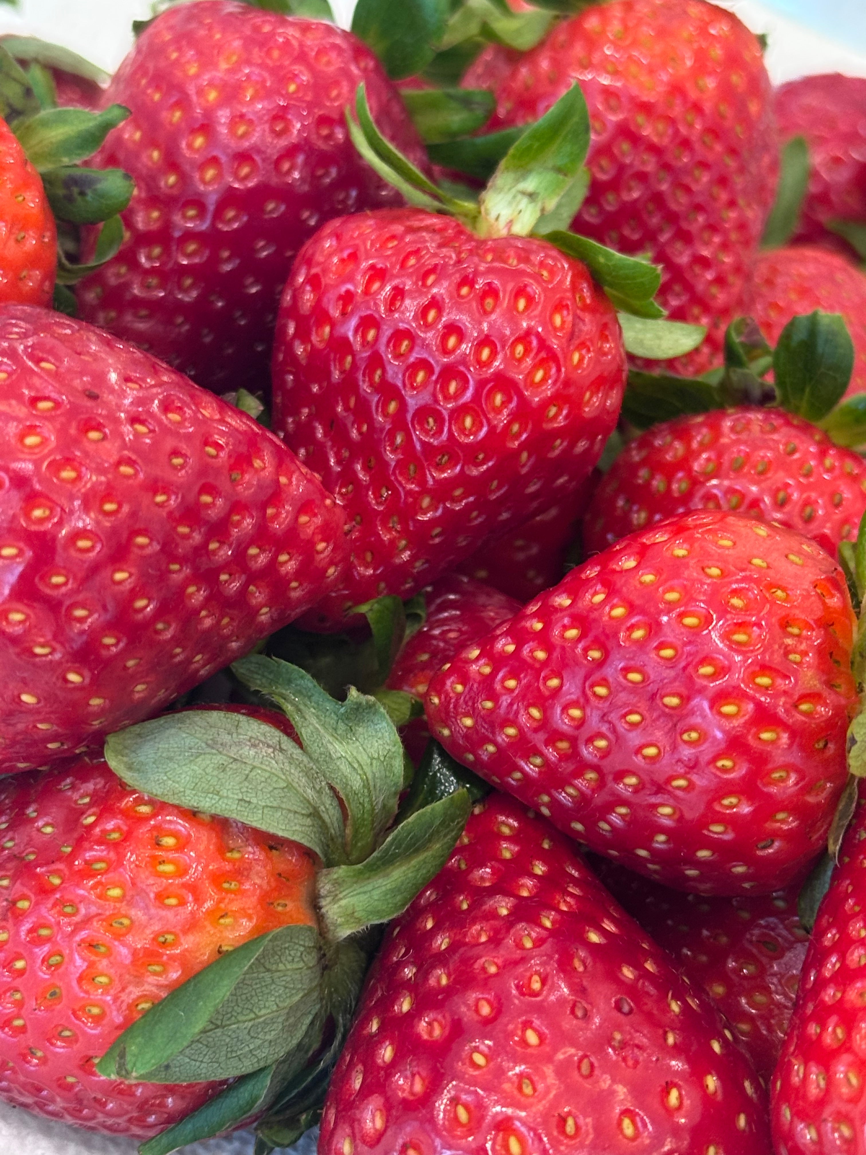 Fresh strawberries with dark chocolate