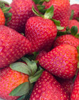 Fresh strawberries with dark chocolate