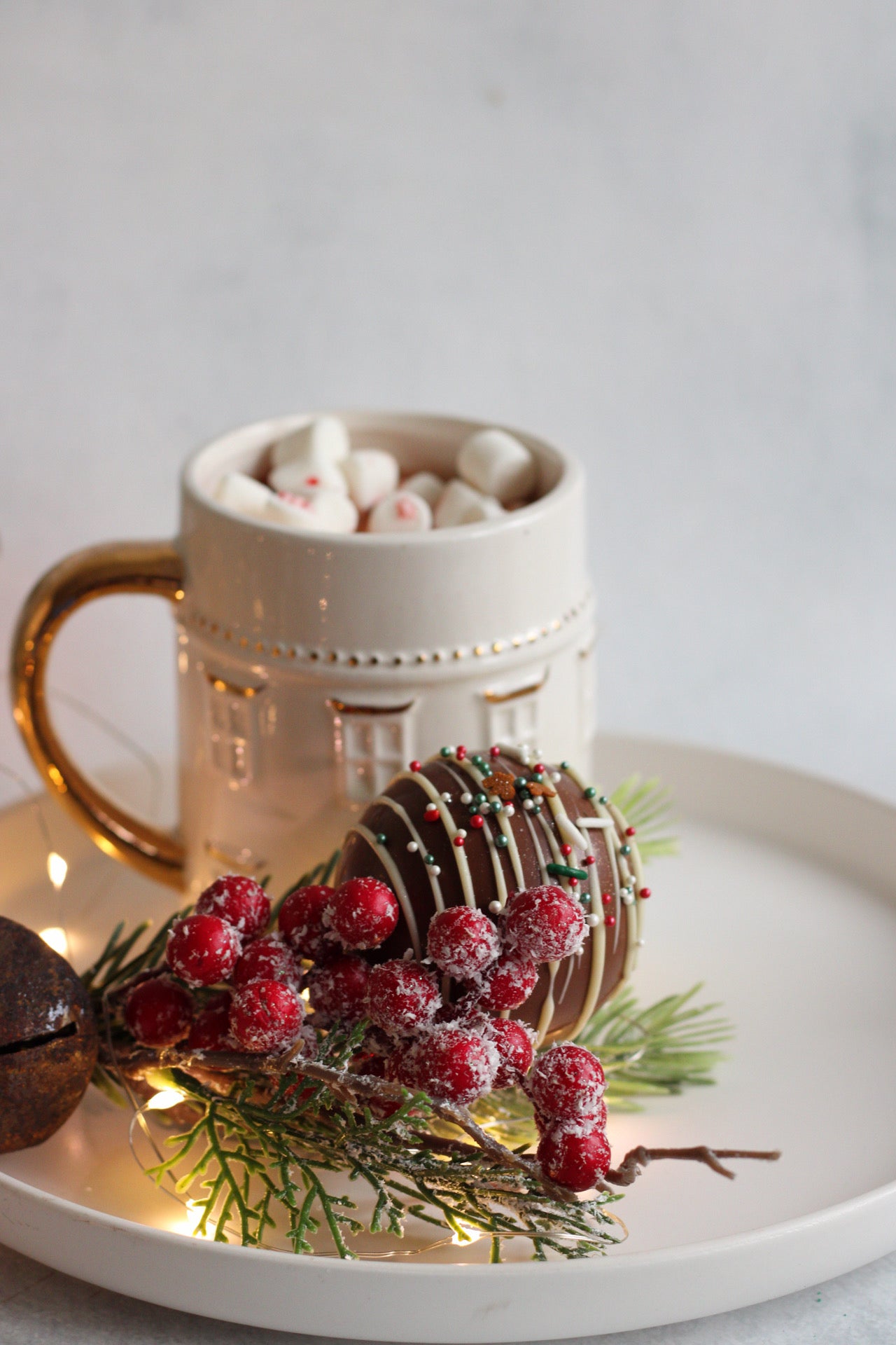 Hot cocoa bombs