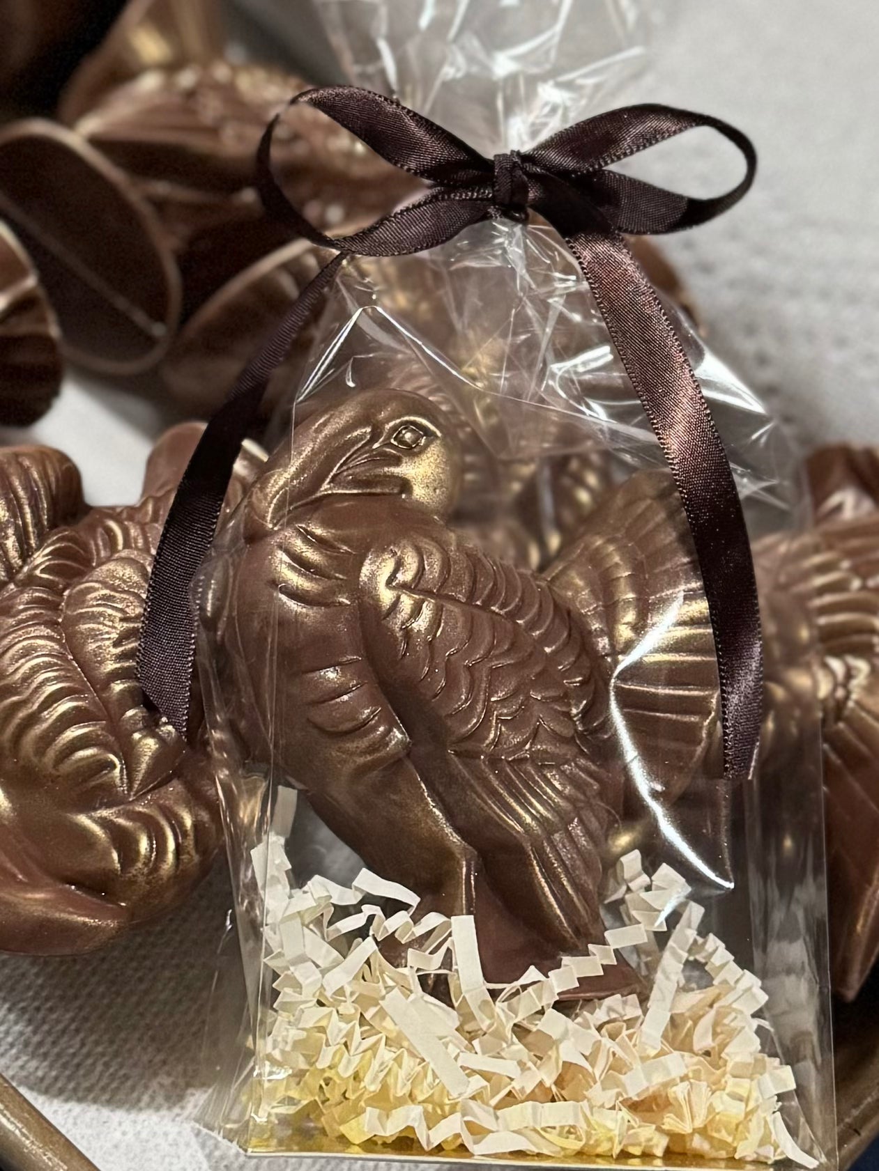 Chocolate Turkey