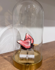 Freeze dried strawberries